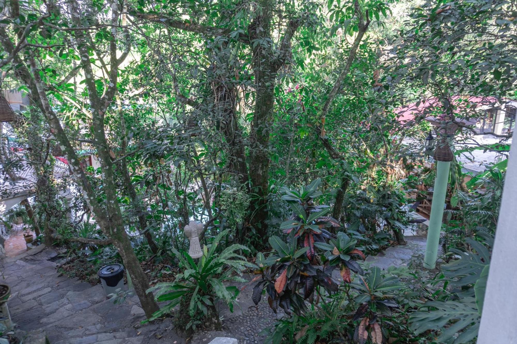 Hotel Paraiso Encantado Xilitla Bagian luar foto